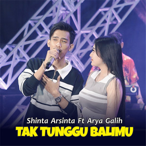 Shinta Arsinta - Tak Tunggu Balimu