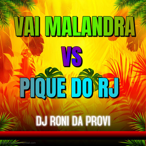 DJ RONI DA PROVI - VAI MALANDRA VS PIQUE DO RJ