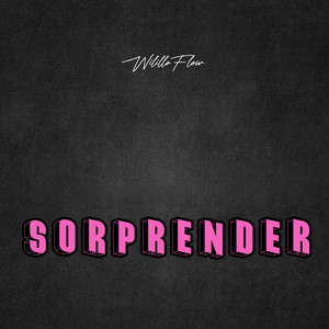 Sorprender by WililloFlow