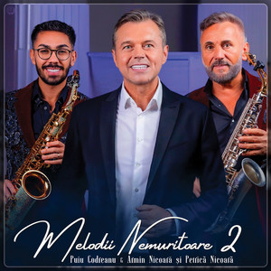 Puiu Codreanu, Armin Nicoara & Petrica Nicoara - Melodii Nemuritoare 2