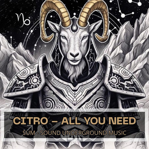 ALL YOU NEED by SUM - Sound Underground Music, Citro