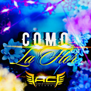Como La Flor by Aldo y Christian