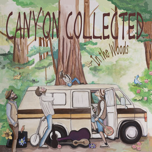 Canyon Collected poster