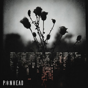 Vanitas.exe by Pinhead