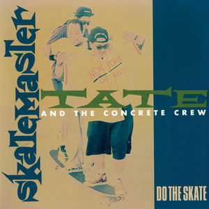 tate beastie punk boys skatemaster 洋楽