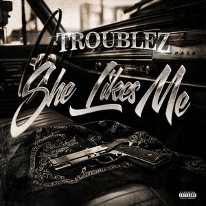 She Likes Me by Troublez