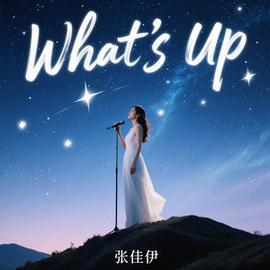 张佳伊 - What's Up