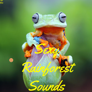 Sexy Rainforest Sounds album
