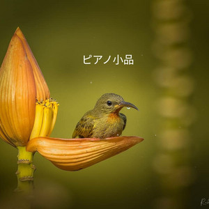ピアノ小品