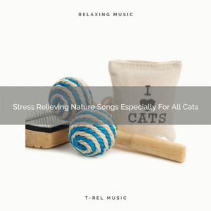 Stress Relieving Nature Songs Especially For All Cats album