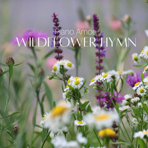 Обкладинка: Wildflower Hymn