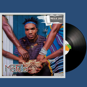 Mulaudzi Tee Jay - Ari fani (feat. Dindie'Cess & Makhanyi)