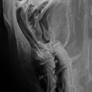 Fragmented by DJ Concito