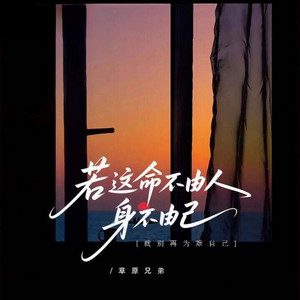 若这命不由人身不由己 - 车载版 by 草原兄弟, 阿能