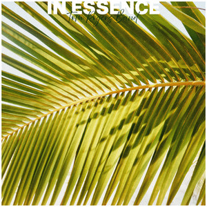 In Essence by Tom Rogers Band