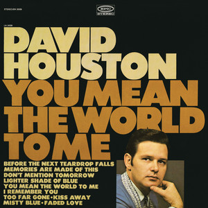 You Mean the World to Me album