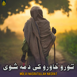 Molvi Nasratullah Nasrat - د شهادت په خوب ویده