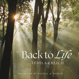 Back To Life by Tehila Erlich