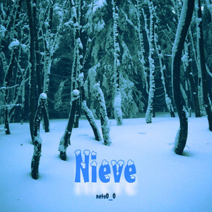 Neto0_0 - snow