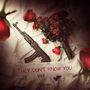 They Don't Know You by Vell