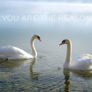 Iqbal Gumilar - You Are the Reason