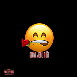 Plutonix - SLOVA JSOU RŮŽE 1