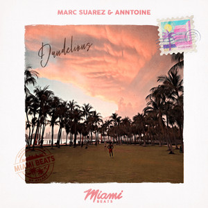 Dandelions by Marc Suarez, Anntoine