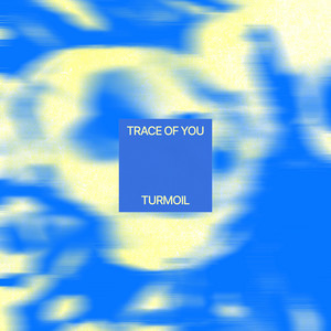 Trace of You by Turmoil, Anne Soldaat