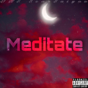 Portada de Meditate