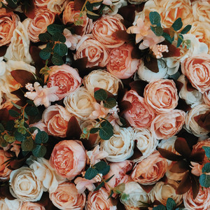 Aesthetic Sounds - Aesthetic Beat