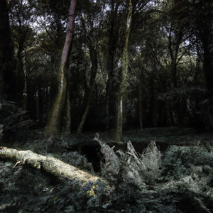 Mental Freak - Darkness