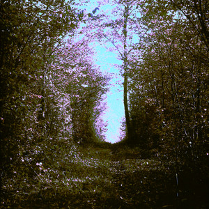 korkak (Instrumental)