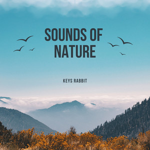 Sounds of Nature by Keys Rabbit