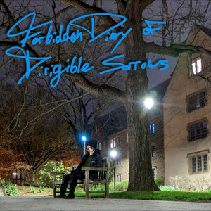 Forbidden Diary of Dirigible Sorrows cover
