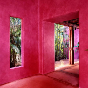 fuscia by kurt aka