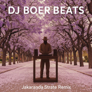 Jakaranda Strate by DJ BoerBeats