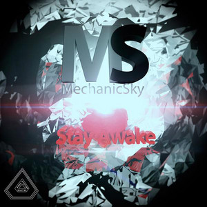 Mechanic Sky cover