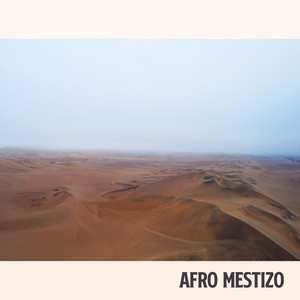 Portada de Afro Mestizo - Extended