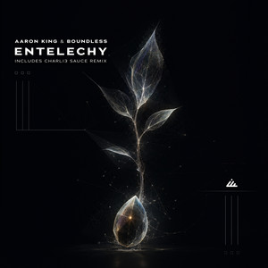 Entelechy - Original Mix by Boundless, Aaron King