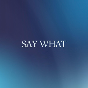 Say What by Tillmann Ramge