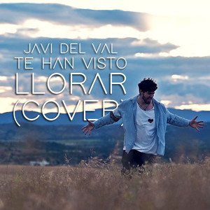 Te Han Visto Llorar (Cover)