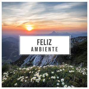 # 1 Album: Feliz Ambiente album