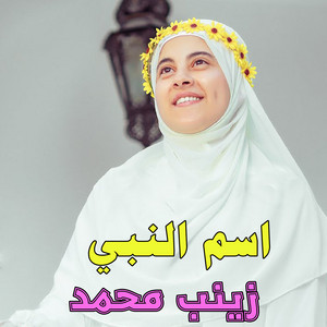 افراح اسلاميه by زينب محمد