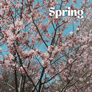 Spring - Radio Edit by Reivax