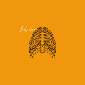 Feels Like by STOW
