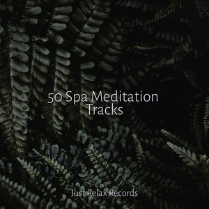50 Spa Meditation Tracks