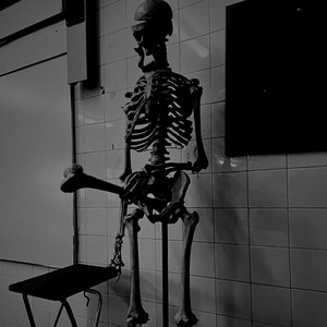 Boner by Melo Mave