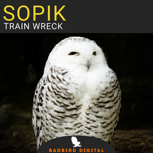 Train Wreck