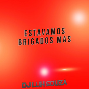 Dj Luh Souza - Estavamos Brigados Mas
