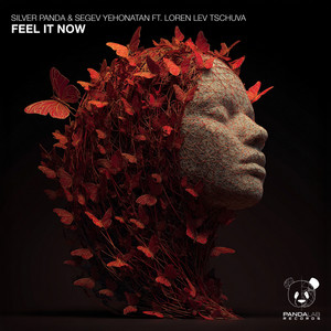 Feel It Now by Silver Panda, Segev yehonatan, Loren Tschuva לורן תשובה